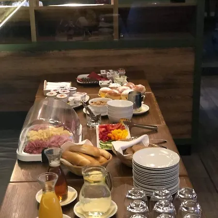 Pensjonat Exclusive Vista Mlada Boleslav 4*